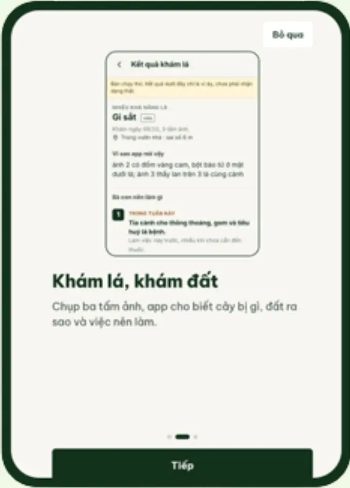 Màn hình khám lá, khám đất trong Sổ rẫy
